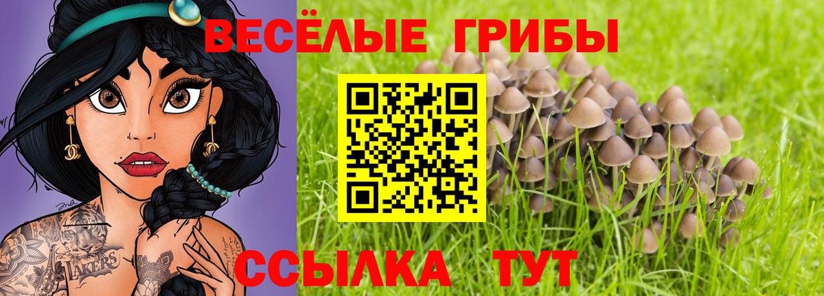 Псилоцибиновые грибы Magic Shrooms  Вход с VPN  Псилоцибиновые грибы Psilocybine cubensis  Нижнекамск 